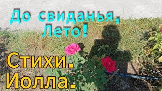 Лето, до свиданья! Стихи и музыка автора Иолла 💝