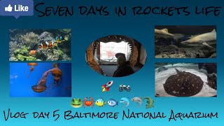 7 Days In Rockets Life Vlog Day 5 Baltimore Aquarium