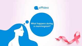 What happens during a mammogram?