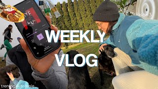 WEEKLY VLOG 🌸 // postępy na budowie / polecam fajne książki / bieganie / postępy Tadzika / lump