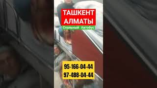 Алматы Ташкент спальный автобус951660444 #алматы #ташкент #спальныйсалон #автобус #migrantlarhayoti