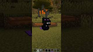 Baby Dragon In Minecraft | Minecraft Tiktok Hack #shorts #minecraft #viral #trending