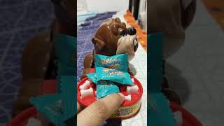 beware; don't steal his Dynamite Choco mint #asmr #shorts #best #trendy #grumpydog