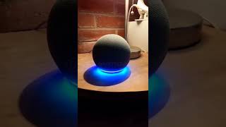 Alexa habla como Yoda de Star Wars #alexa #comedia