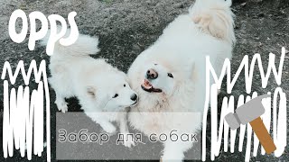 Dogvlog🐶 Мы попали на строительство 🚧 Сколько стоит забор?