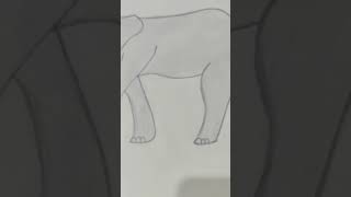 Draw an elephant | #shorts