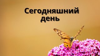 СТИХИ. Сегодняшний день. Красивые стихи.