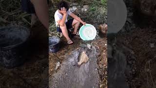 Asian Catching Fish Easy #Short