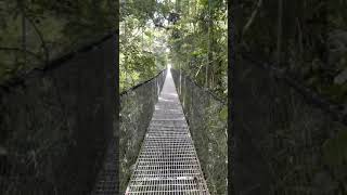 Hanging bridge in Costa Rica