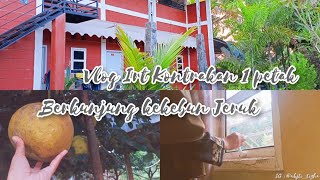 Bersih Bersih Kontrakan Lanjut berkunjung Kekebun Jeruk Bali  || Daily Vlog