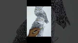 OWL DRAWING #pendrawing #birds #art #shorts