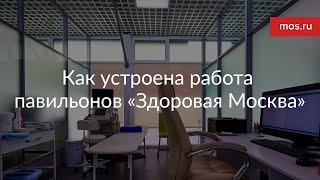 Как устроена работа павильонов «Здоровая Москва»