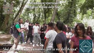 🌾Dal Seme al Pane🍞, passando per le vie dell'Acqua💧- WORKSHOP VIRTUOSO all'Antico Mulino delle Fate.