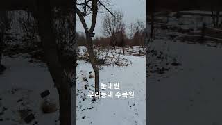 남의 집 훔쳐보기