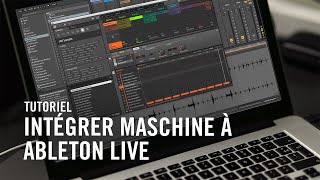 Comment intégrer le logiciel MASCHINE à Ableton Live (+ Expansion Crate Cuts) | Native Instruments