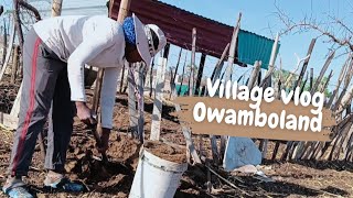 Village life in Northern Namibia🇳🇦|Owamboland |Namibian Youtuber