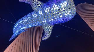 Whale sharks in Lusail Boulevard #shorts #trending #lusailboulevard