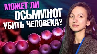 Может ли осьминог убить человека? - Морской биолог Ирина Мейнцер | Ученые против мифов 20-5