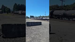 [Must see] BNSF H-PASEVE w/ thunder cab ACe, BN gons and Executive MAC DPU with some foam 8-4-24