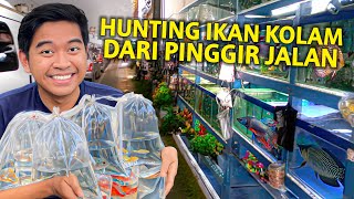 HUNTING IKAN APAPUN BUAT DI KOLAM DARI TOKO AQUARIUM PINGGIR JALAN TERLENGKAP DI DEKET RUMAH AKU!