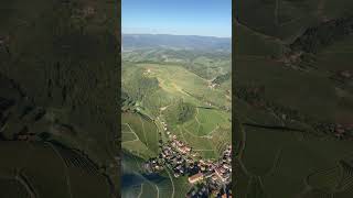 Überflug Durbachtal mit Weinbergen und Schloss Staufenburg | Heimat Schwarzwald von Oben