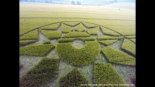 “Stella” compare in un campo di Willoughby Hedge, Wiltshire (UK)