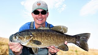 Indiana Stream Smallmouth: Fall Swimbait Slam 10/9/20