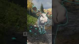 Rare Albino Moose on Yukon Valley! #thehuntercallofthewild #thehunter17 #shorts