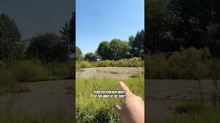 Pond Restoration Video