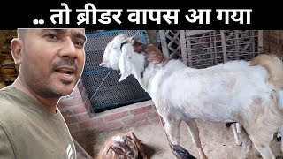 Bakra Wapas A gya |Vimalumrao