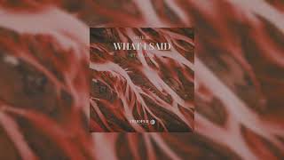 Millean. - What I Said (Official Audio)