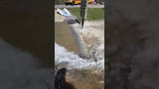 He cut the Pool Liner! 10,000 gallons gone in Seconds!