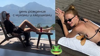 день рождения с лучшей подругой, дохлыми мухами и лягушкой