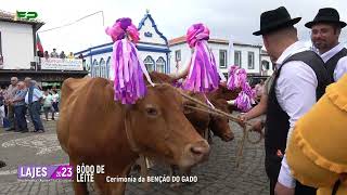 Lajes 2023 - Bôdo de Leite - Benção do Gado - 3 de Outubro 2023