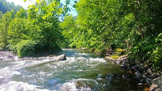 Brodhead Creek GORGE - Trout & Bass Fishing