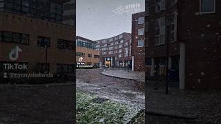 Relaxing snow video #fyp #netherlands #snow