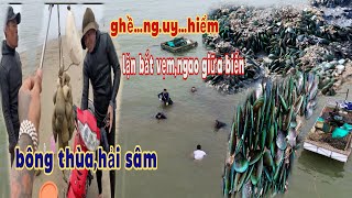 Nghề thợ lặn.ng.uyhiểm giữa biển bắt vẹm xanh,ngao,bông thùa,hải sâm/độc lạ sầm sơn-săn bắt,sinh tồn