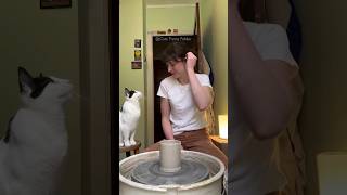 #39 Cute Cat videos 😻😻😄 #fails #funny #moments #reels