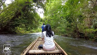 BEAUTIFUL NATURE  - BAMBOO RIVER RAFTING KHAO LAK THAILAND | DJI Pocket 2 | Nature Sounds