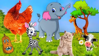 Happy animal moment - Lion, Horse, Bee, Kitten, Chipmunk - Animals sound