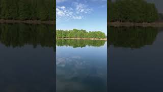 Glassy water #shorts #kayakfishing #oldtownkayak