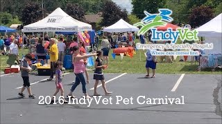 2016 Pet Carnival Highlights