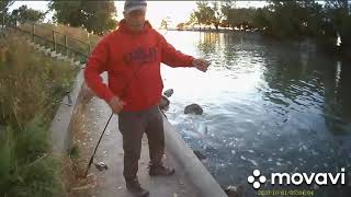 Nebraska WHITE BASS and Wiper FISHING!