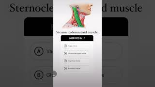 #Sternocleidomastoid #SCMMuscle #NeckAnatomy #AccessoryNerve #CranialNerveXI #NeckMuscles