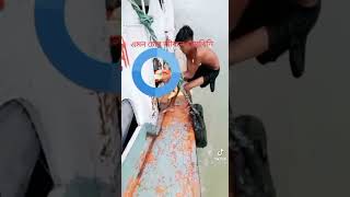 চুরি করাকে এরা নেক্সট লেভেলে নিয়ে গেছে