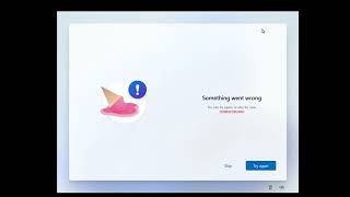 Windows 11 OOBEKEYBOARD Setup Error (Something went wrong)