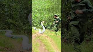 কি কোবরা সাপের ভয়ংকর গতি! King Cobra snake Speed #snake #kingcobra #সাপ