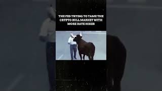 THE FED TRYING TO TAME BULL MARKET #shorts #bull #bullmarket #cryptohumor