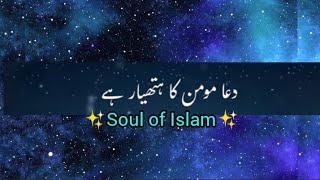 Hazoor ﷺ ny farmaya |Allah |Dua |Muslim |Soul of Islam |Quran |Black |Viral|Short bayan