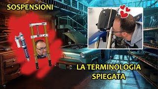 SOSPENSIONI - Caprine di piu'!!